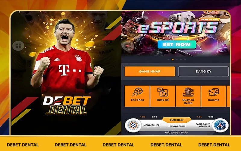 Tổng quan về ứng dụng của Debet